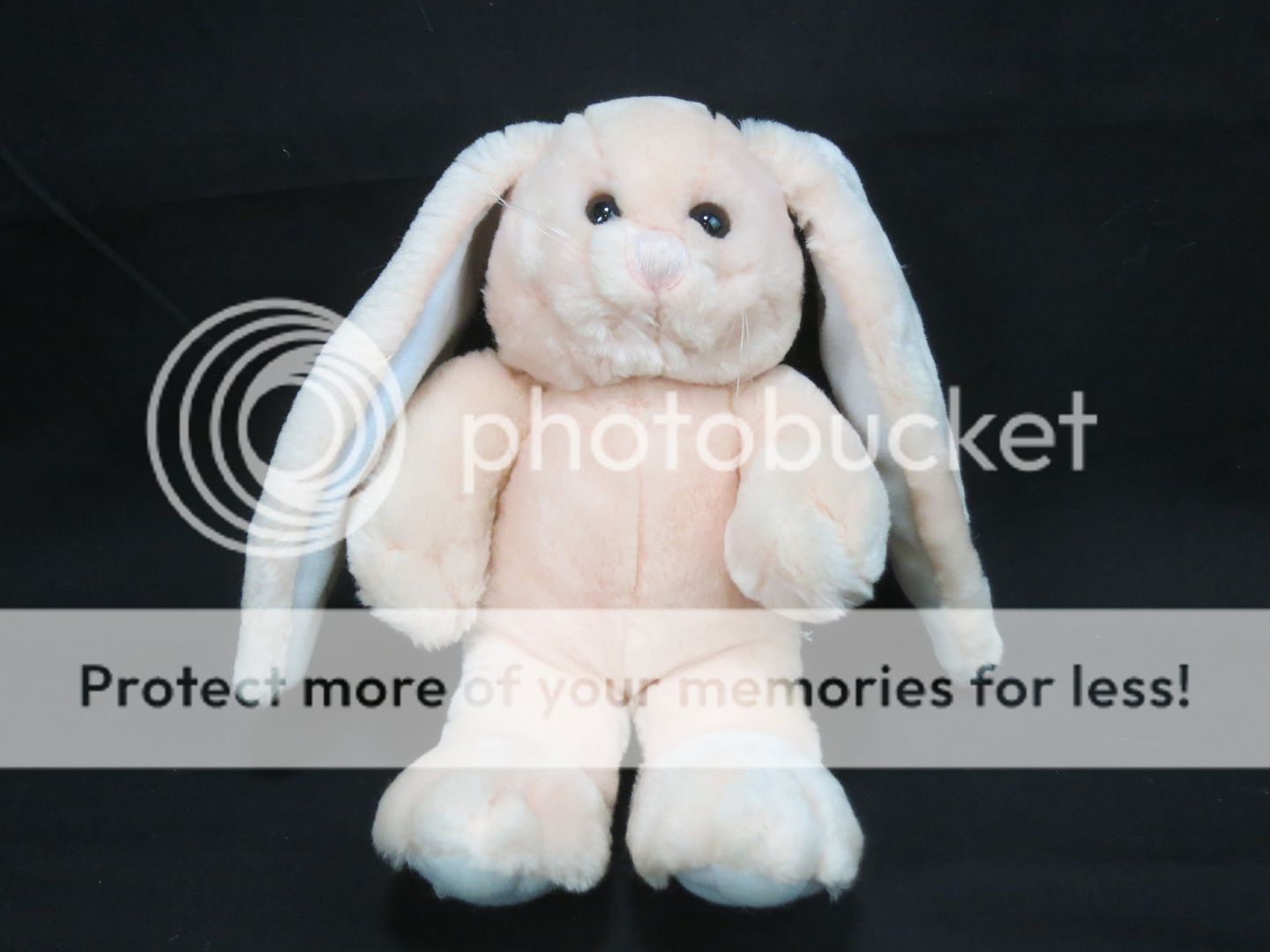 dakin stuffed bunny